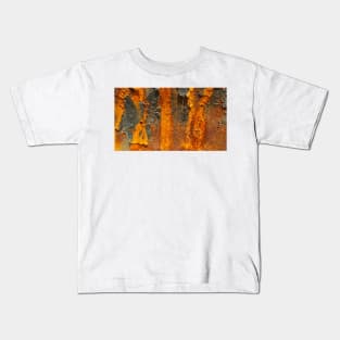 Natures RUST ART Patterns number FOUR Kids T-Shirt